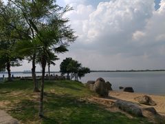 -瑶湖郊野森林公园