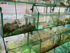 -凯华海鲜火锅·传承三十六年