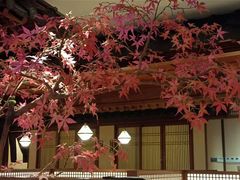 -揽季锅物会.福建黄鱼.海鲜姿造(五四路店)