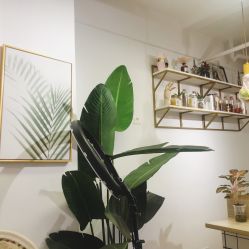 -杨丹国际美学肌研所