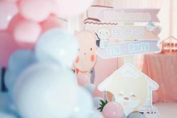 -圣塔拉 宝宝宴生日Party气球派对一站式高端策划