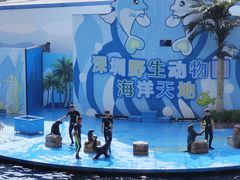 -深圳野生动物园