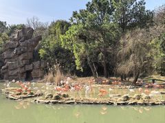 -宁波野生动物园