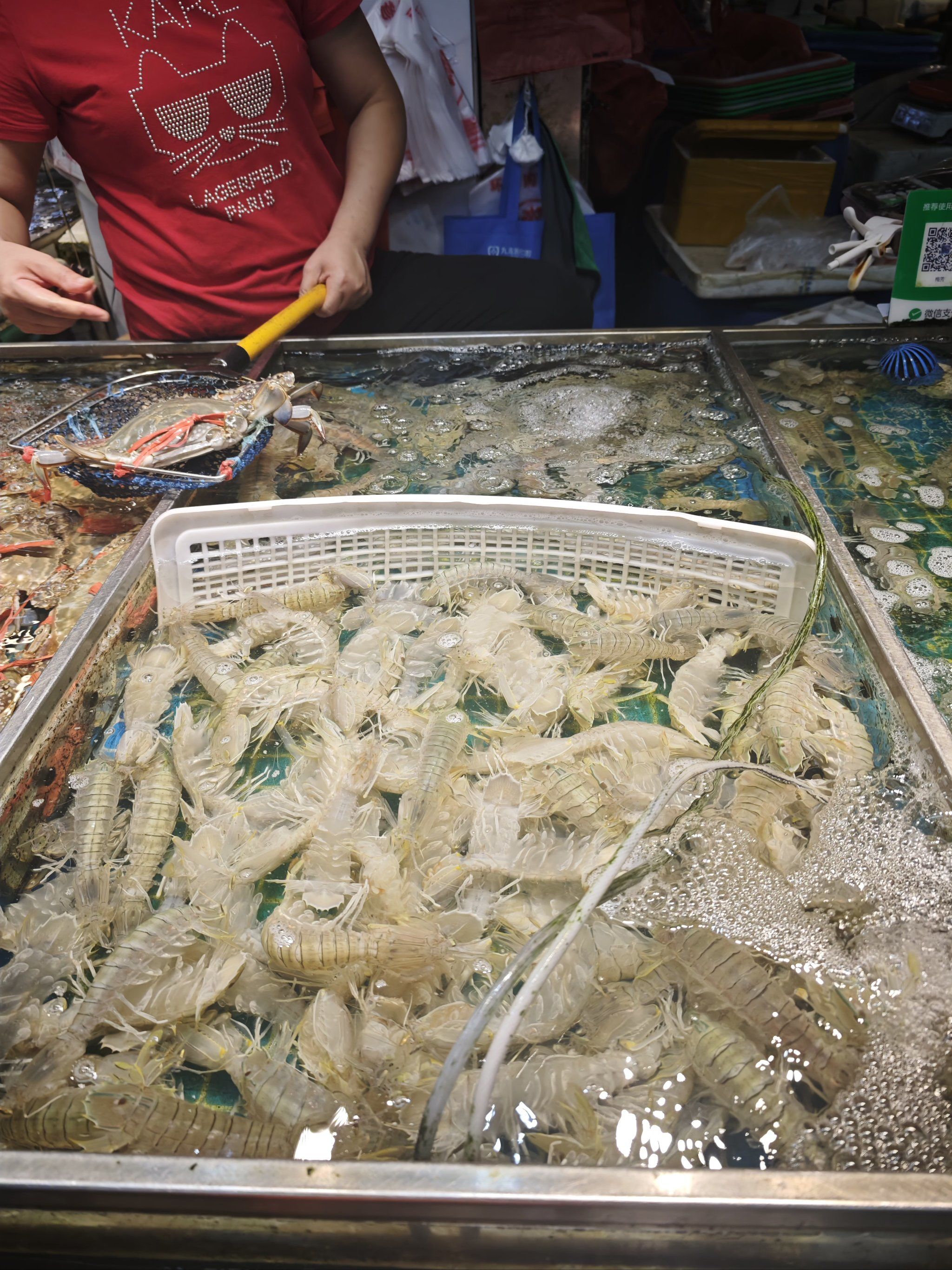 海鲜美味,吃货的幸福天堂#逛一逛本地特色市场#0元玩转这座城