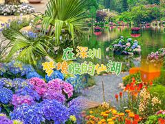 -深圳市中科院仙湖植物园