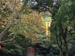 -杭州黄龙洞