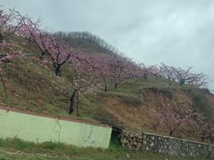 -河口景区