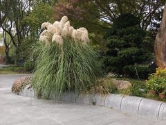 -昆山城市生态森林公园