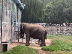 -西安秦岭野生动物园
