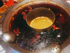 -厂花素芬九宫格火锅(红光店)