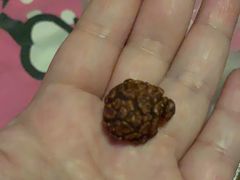 -源宗盛粽子汤圆