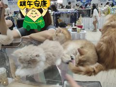 -仲盛世界商城
