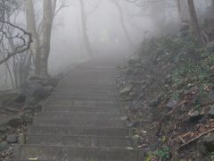 -银瓶嘴森林公园