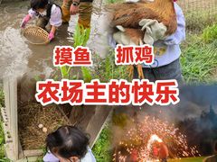 -前小桔亲子创意农场·草莓采摘·露营烧烤