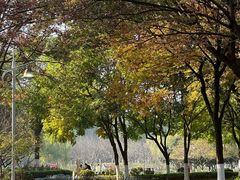 -太子山公园(园东路)
