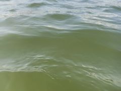 -碧海金沙