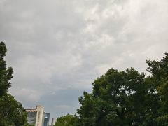 -上海瑞金洲际酒店