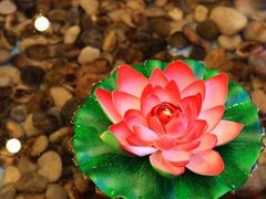 -迪卡侬(雨花店)