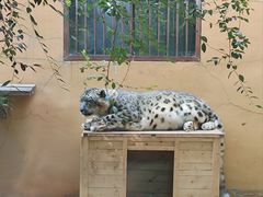 -青藏高原野生动物园