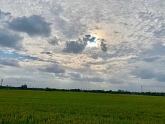 -嘉北郊野公园