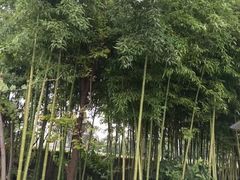 -杨家埠民间艺术大观园