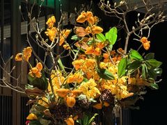 -新荣记(BFC外滩金融中心店)