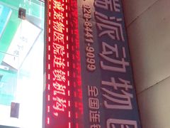 -瑞派动物医院·绝育·犬猫全科·预防医学(光景江南中店)