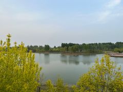 -东郊湿地公园