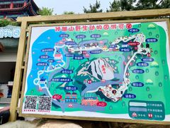 -西霞口神雕山野生动物世界