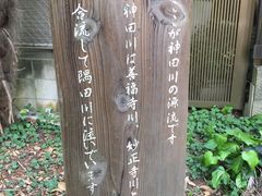 -井之头恩赐公园