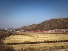 -张北坝上草原