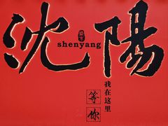 -中街·盛京龙城