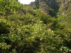 -孤山寨风景区