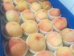 -老袁家蜜桃农场·阳山水蜜桃