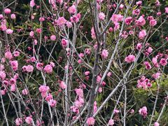 -南京金牛湖风景区