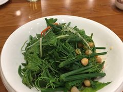 南瓜苗-巴依老爷新疆美食(望京小街店)