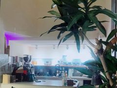 -Radar Coffee(思南路店)