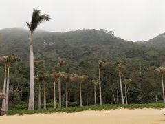 -东澳岛