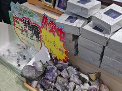 -安徽省地质博物馆