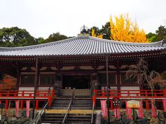 -醍醐寺