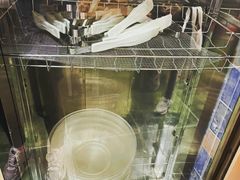 -杨国福麻辣烫(庆春路店)