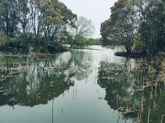-梁鸿国家湿地公园