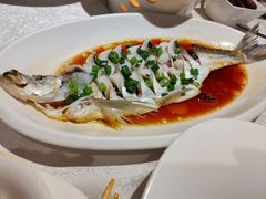 -金美华轩(东方路齐鲁店)