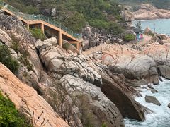 -广东惠东海龟国家级自然保护区