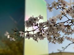 -龙美术馆(西岸馆)