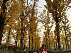 -两江幸福广场