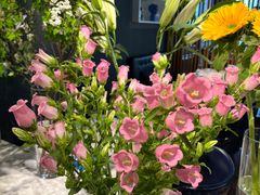 -懒人盐府人家(航天桥店)