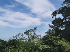 -巢湖姥山岛