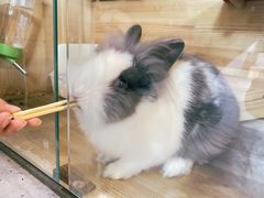 -小意思咖啡店(草桥店)