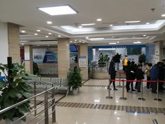 -上海大学附属上海和平眼科医院